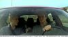 Filename=vlcsnap-1346006.png
Filesize=200KiB
Dimensions=592x320
Date added=Aug 03, 2010 vlcsnap-1346006.png
